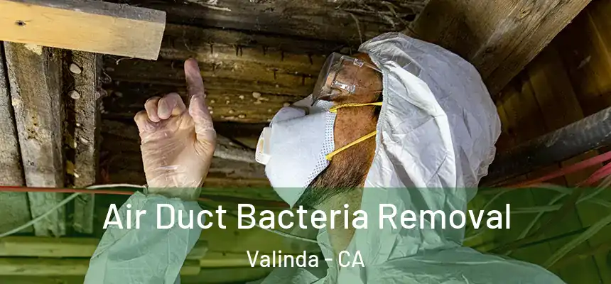 Air Duct Bacteria Removal Valinda - CA