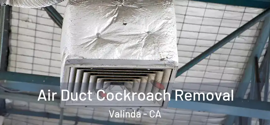  Air Duct Cockroach Removal Valinda - CA