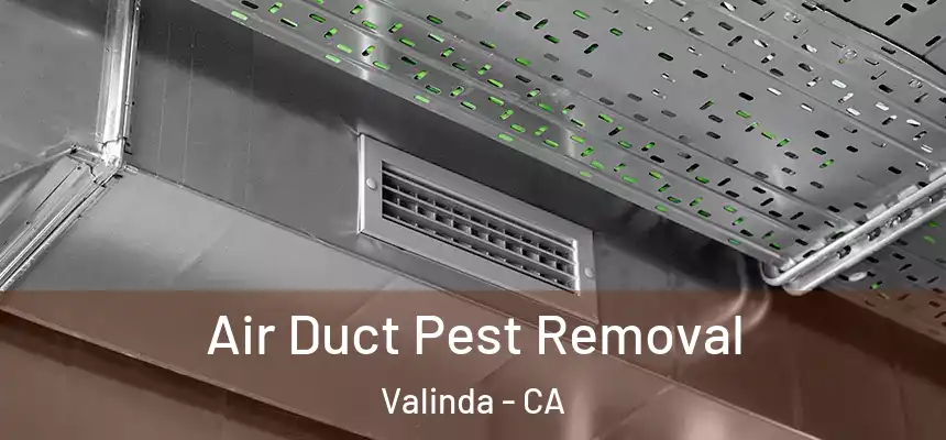 Air Duct Pest Removal Valinda - CA