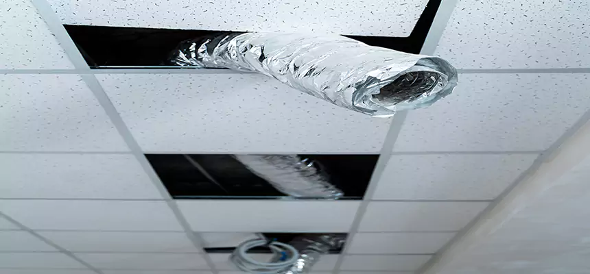 Our Air Duct Pet Hair Removal Services in Valinda, CA