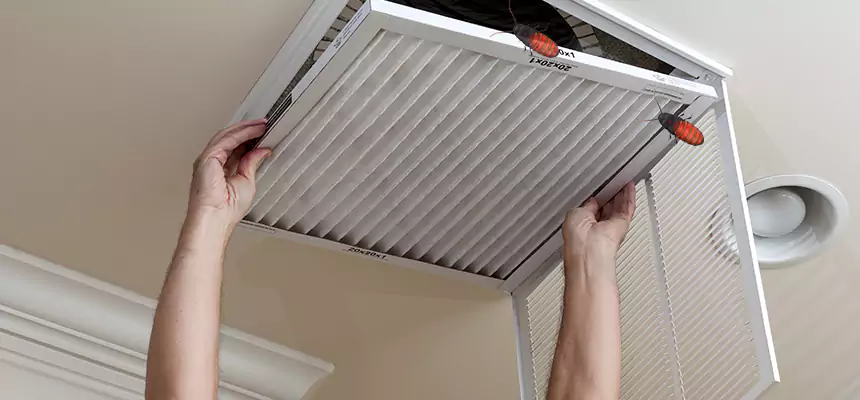 Our Insect Removal from Air Ducts Services in Valinda, CA