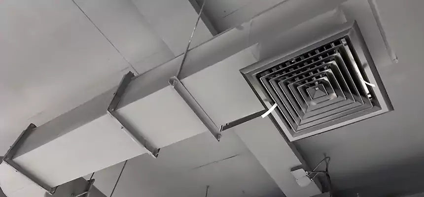 Our Pest Removal From Ducts Services in Valinda, CA