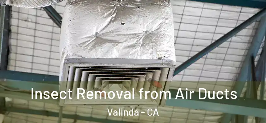 Insect Removal from Air Ducts Valinda - CA