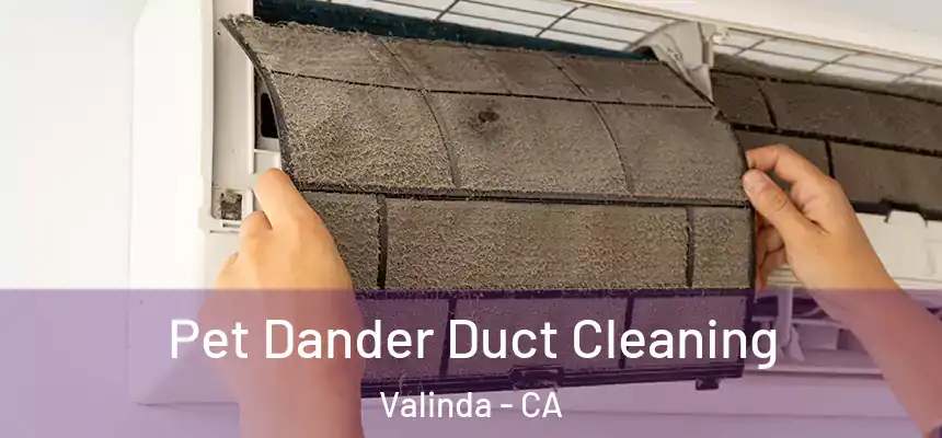  Pet Dander Duct Cleaning Valinda - CA
