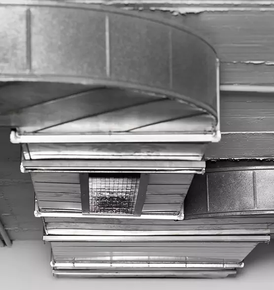 Professional Air Duct Pet Hair Removal in Valinda, CA