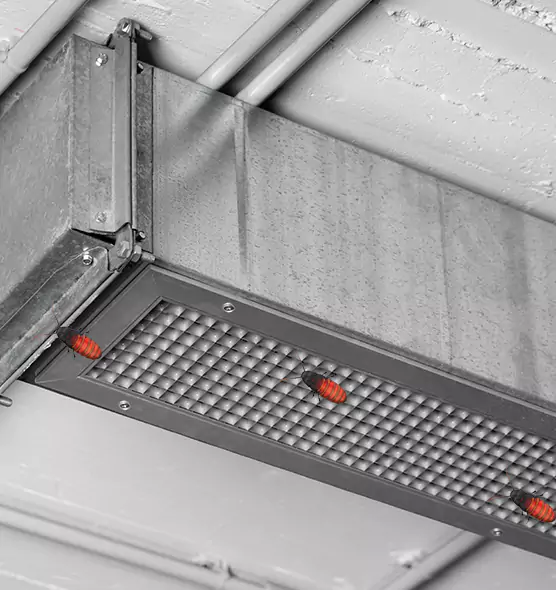 Affordable Insect Removal from Air Ducts in Valinda, CA