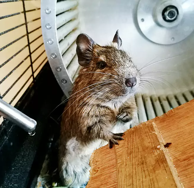 Why Homeowners & Businesses Trust Us Valinda, CA